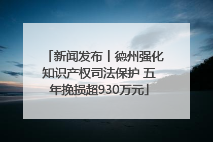 新闻发布丨德州强化知识产权司法保护 五年挽损超930万元