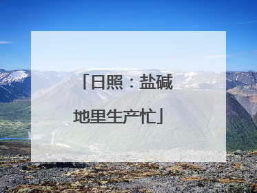日照：盐碱地里生产忙