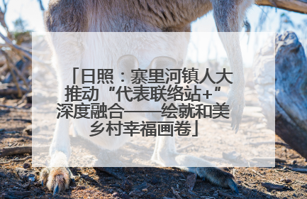 日照：寨里河镇人大推动“代表联络站+”深度融合——绘就和美乡村幸福画卷