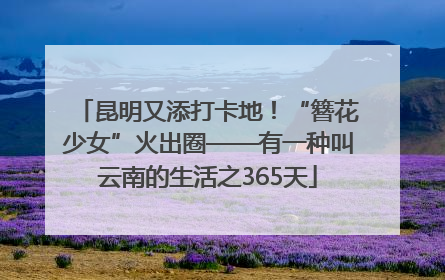 昆明又添打卡地！“簪花少女”火出圈——有一种叫云南的生活之365天