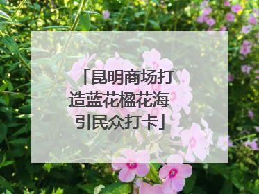 昆明商场打造蓝花楹花海引民众打卡