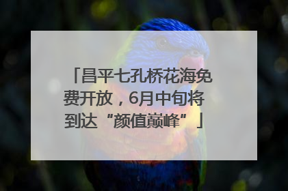 昌平七孔桥花海免费开放，6月中旬将到达“颜值巅峰”