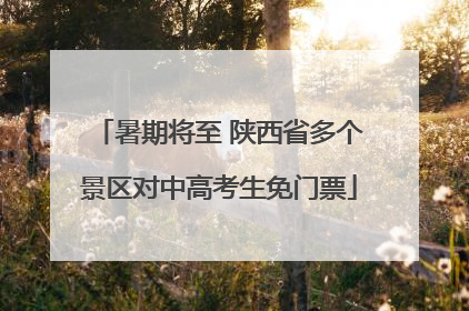 暑期将至 陕西省多个景区对中高考生免门票