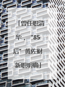 曾任职清华，“85后”黄佐财新职明确