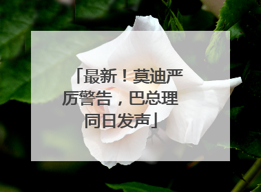 最新！莫迪严厉警告，巴总理同日发声
