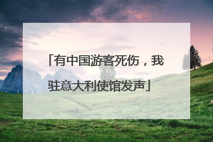 有中国游客死伤，我驻意大利使馆发声