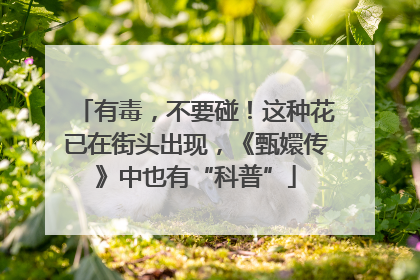 有毒，不要碰！这种花已在街头出现，《甄嬛传》中也有“科普”