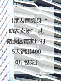 朋友圈变身“助农卖场” 武陵源区黄家坪村5天销出4000斤包菜