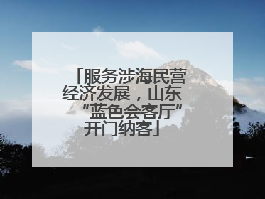 服务涉海民营经济发展，山东“蓝色会客厅”开门纳客