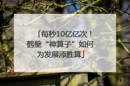 每秒10亿亿次！鹤壁“神算子”如何为发展添胜算