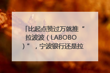 比起点赞过万就推“拉波波（LABOBO）”，宁波银行还是拉业绩吧｜财经辣评