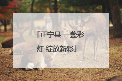 正宁县 一盏彩灯 绽放新彩