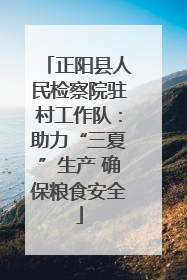 正阳县人民检察院驻村工作队：助力“三夏”生产 确保粮食安全