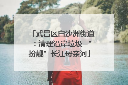 武昌区白沙洲街道：清理沿岸垃圾 “扮靓”长江母亲河