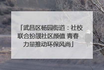 武昌区杨园街道：社校联合扮靓社区颜值 青春力量推动环保风尚
