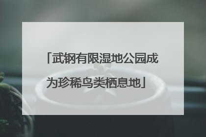 武钢有限湿地公园成为珍稀鸟类栖息地