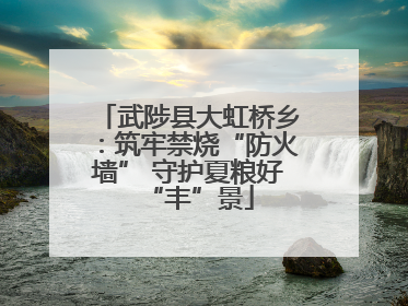 武陟县大虹桥乡：筑牢禁烧“防火墙” 守护夏粮好“丰”景