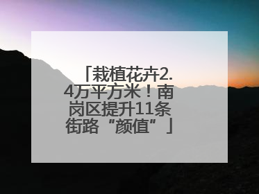 栽植花卉2.4万平方米！南岗区提升11条街路“颜值”