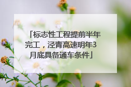 标志性工程提前半年完工，泾青高速明年3月底具备通车条件