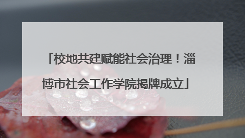 校地共建赋能社会治理！淄博市社会工作学院揭牌成立