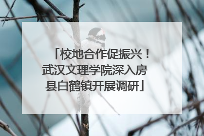 校地合作促振兴！武汉文理学院深入房县白鹤镇开展调研