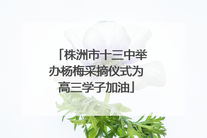 株洲市十三中举办杨梅采摘仪式为高三学子加油
