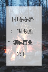 桂东东洛：“红领雁”领航百业兴