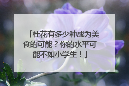 桂花有多少种成为美食的可能？你的水平可能不如小学生！
