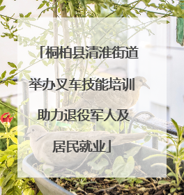 桐柏县清淮街道举办叉车技能培训 助力退役军人及居民就业