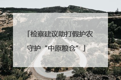 检察建议助打假护农守护“中原粮仓”