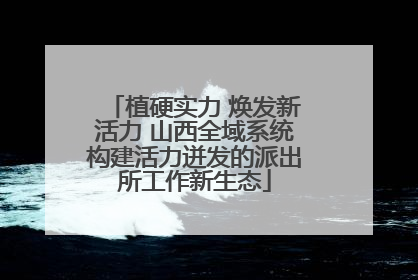 植硬实力 焕发新活力 山西全域系统构建活力迸发的派出所工作新生态