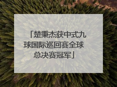 楚秉杰获中式九球国际巡回赛全球总决赛冠军