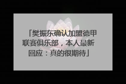 樊振东确认加盟德甲联赛俱乐部，本人最新回应：真的很期待