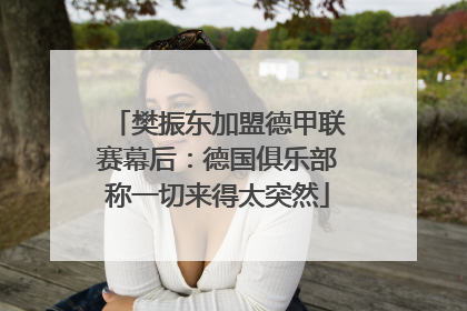 樊振东加盟德甲联赛幕后：德国俱乐部称一切来得太突然