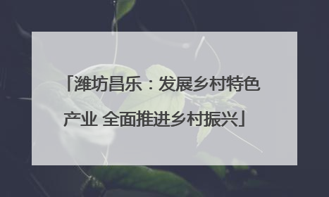 潍坊昌乐：发展乡村特色产业 全面推进乡村振兴