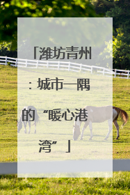 潍坊青州：城市一隅的“暖心港湾”