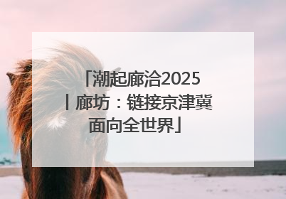 潮起廊洽2025丨廊坊：链接京津冀 面向全世界