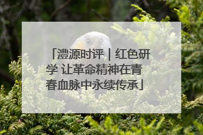 澧源时评｜红色研学 让革命精神在青春血脉中永续传承
