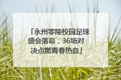 永州零陵校园足球盛会落幕，36场对决点燃青春热血