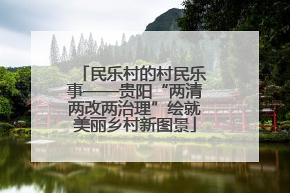 民乐村的村民乐事——贵阳“两清两改两治理”绘就美丽乡村新图景