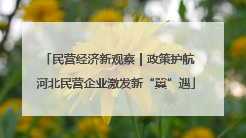 民营经济新观察｜政策护航 河北民营企业激发新“冀”遇