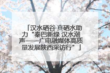 汉水硒谷·真硒水助力“秦巴新绿 汉水潮声——广电融媒体高质量发展陕西采访行”