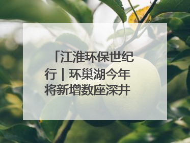 江淮环保世纪行｜环巢湖今年将新增数座深井控藻平台