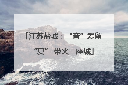 江苏盐城：“音”爱留“夏” 带火一座城
