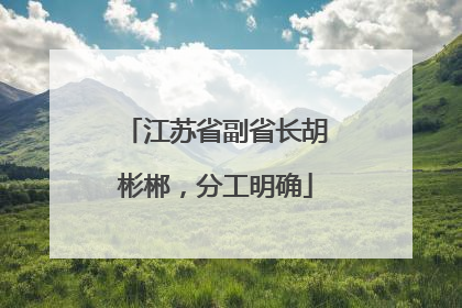 江苏省副省长胡彬郴，分工明确