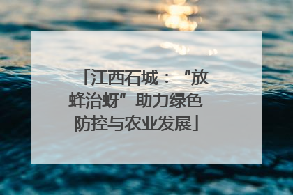 江西石城：“放蜂治蚜”助力绿色防控与农业发展