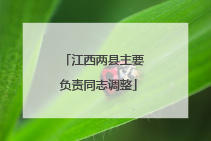 江西两县主要负责同志调整