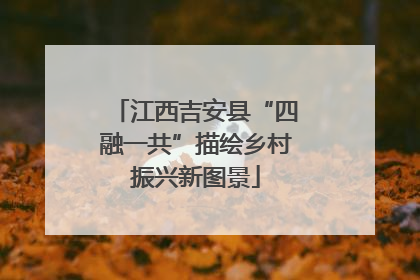 江西吉安县“四融一共”描绘乡村振兴新图景