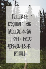 江豚在“培训班”练就江湖本领，外国代表想复制技术回国