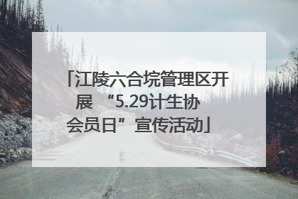 江陵六合垸管理区开展 “5.29计生协会员日”宣传活动